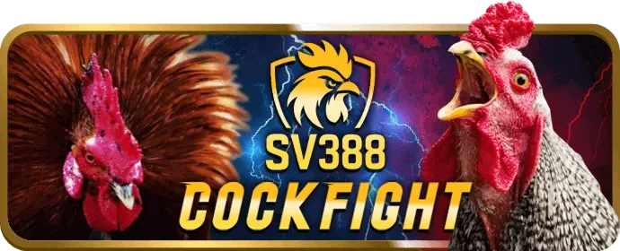 Quy định về tài khoản người dùng và bảo mật trên 888 bet app